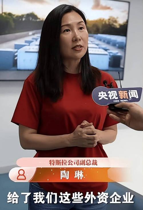 陶琳:无论是美国、中国还是欧洲,特斯拉供应商的原产国或地理来源不构成排除性标准